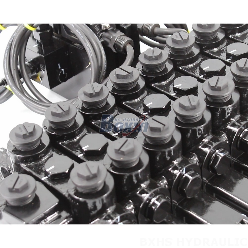 Precision Engineered DCV150-10-NPT 10 Spool Hydraulic Valve detail image